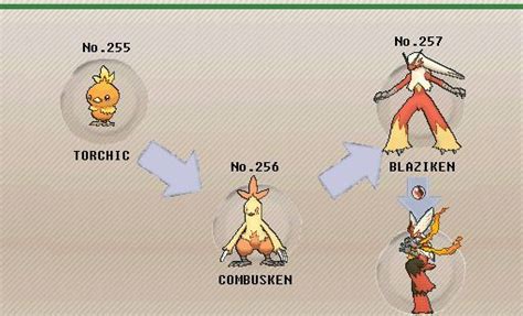 when does blaziken evolve.